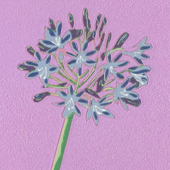Limited Edition Print Signed Reduction Linocut Agapanthus - Dawn