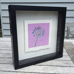 Limited Edition Print Signed Reduction Linocut Agapanthus - Dawn Framed