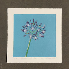 Limited Edition Print Signed Reduction Linocut Agapanthus - Day