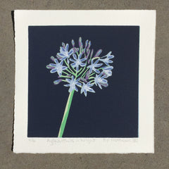 Limited Edition Print Signed Reduction Linocut Agapanthus - Night