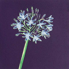 Limited Edition Print Signed Reduction Linocut Agapanthus - Royal